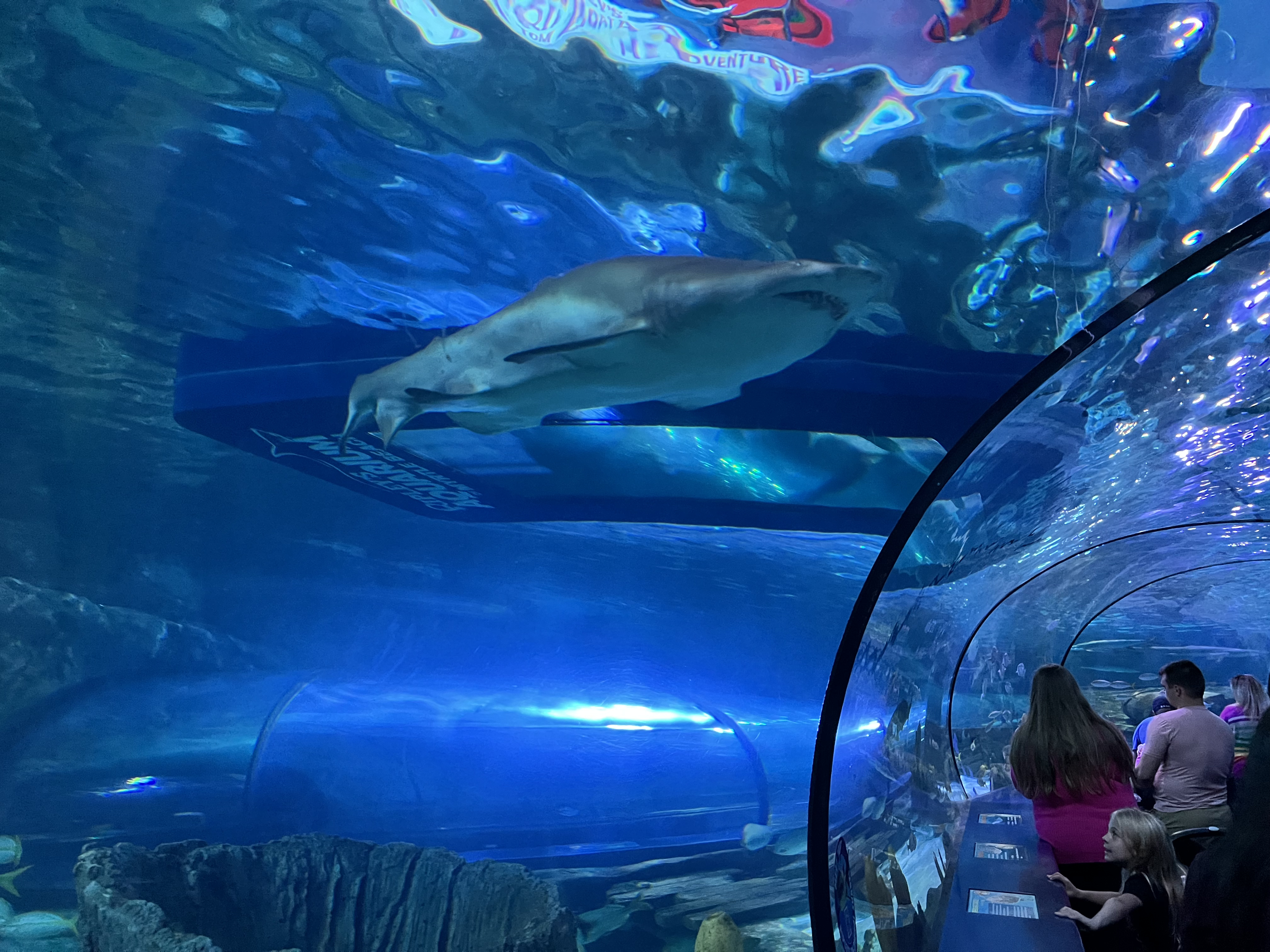 ./2024/10 - Myrtle Beach/IMG_3110.jpg